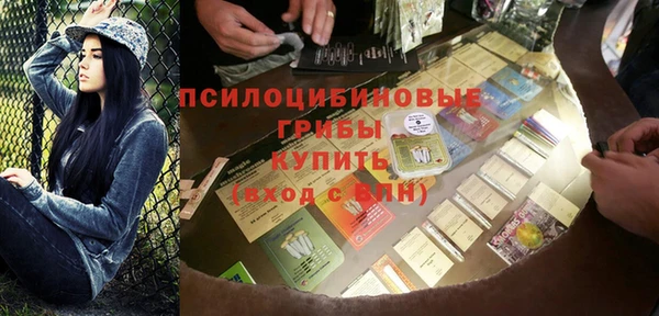 дурь Кинешма