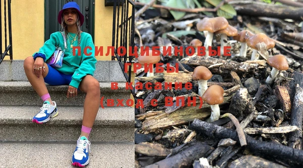 дурь Кинешма