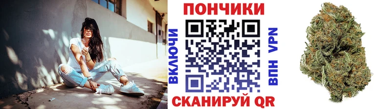 МАРИХУАНА план  Купить где  Пестово 
